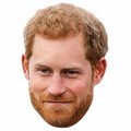 Prince Harry Carton Mariage Royal Masque visage