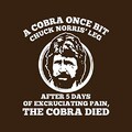 Cloud City 7 Chuck Norris Cobra Quote Men's T-Shirt