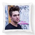 FS - Coussin Dylan Sprayberry
