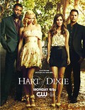 Hart Of Dixie Movie Poster 70 X 45 cm